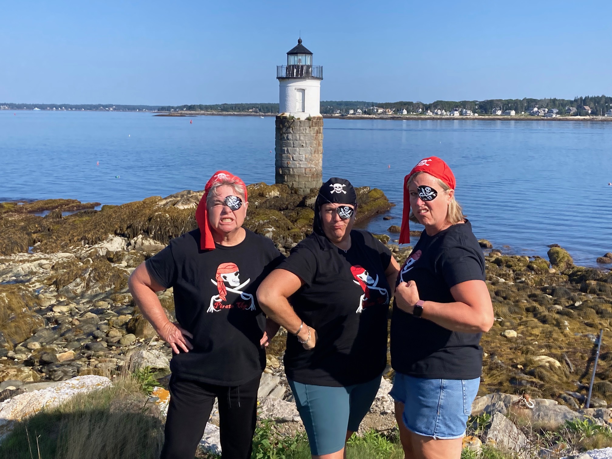 Pirate Teachers People learning